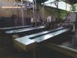 Lnea automtica para la produccin de galletas blandas 2.000 kg