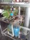 Modelo 300 de la compa��a de producci�n helados Tetra Pak GM contin�a