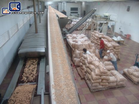 Automatizado de línea de producción de galletas capacidad 800 kg/h