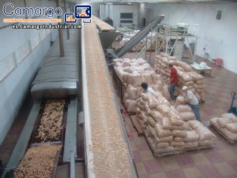 Automatizado de lnea de produccin de galletas capacidad 800 kg/h