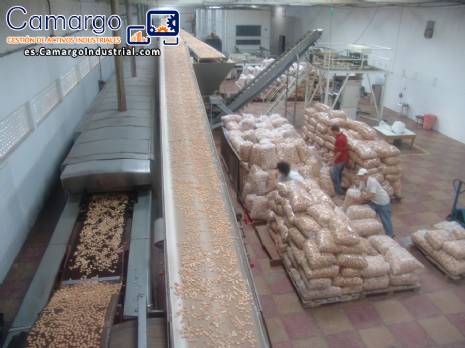 Automatizado de l�nea de producci�n de galletas capacidad 800 kg/h