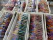 Industria de fabricaci�n de paletas de colores, chupetes, tweeps, caramelos y deliciosas golosinas.