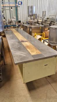 Cinta transportadora con mesa auxiliar de acero inoxidable