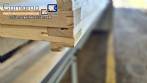 Secador de pasta Italvisa E50