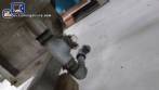Mezclador de cinta de acero inoxidable 400 L