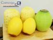 Peladora autom�tica para pi�a, mango y mel�n, 250 unidades por minuto Astra
