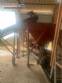 Planta de hormign CIBI